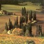 イタリアの小さな田舎町！トスカーナの田園に滞在する　まるで映画の世界！アレッツォ