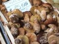 イタリアで美味しいモノ、食べた～い！　フンギポルチーニも出荷開始！