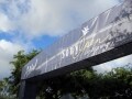 2019年版！ハワイでゴルフトーナメントを観戦