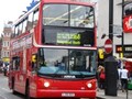 恋愛とロンドンのバス、その共通点とは？
