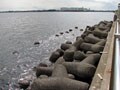 釣り保険、釣りのどんなときに役に立つの？