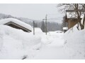 大雪でマイホームに被害！ 火災保険はおりる？