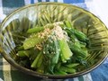 小松菜のレシピ！ おひたしから炒め物まで人気の簡単メニュー14選