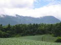 北軽井沢を観光！ 大自然を満喫できるおすすめスポット10選