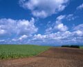 相続税の物納が激減している！その背景は？