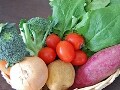 野菜の栄養と調理のコツ