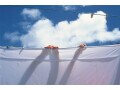 ダニ駆除の方法とは？大量発生させないポイントも紹介