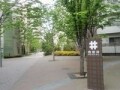 あの再開発エリアは今！ 西新井篇