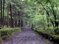 初夏の軽井沢を満喫する、涼を感じる散歩道