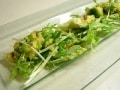 春野菜サラダ