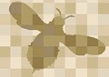 うつ病の予防＜2＞復職は慎重に