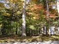 場所と相手を考えて　きちんと言いたい英語の相槌