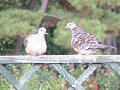 子供に英語を教える先生方へ　英語を学ぶ雰囲気も大切