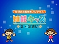 【キッズソフト】IQテストで効果的な知能トレーニング　知能キッズ2歳・3歳
