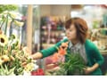 動と静が織りなす2010春夏カラートレンド