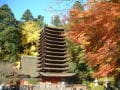 紅葉に覆われる十三重塔！談山神社【奈良】