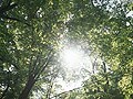 一石二鳥！外気浴でイライラ解消＆成長促進