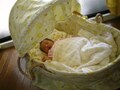 年齢別　子どものヒヤッと体験回避法