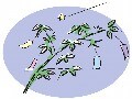 速報！ドラマ情報 2004年 7月号