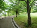 いま“散歩番組”が面白い!