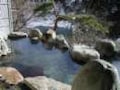 ツイてるあなたは温泉を目指せ！