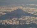 富士山が見えたらパチリと撮って吉日！