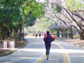 駒沢公園ジョギングコース散歩