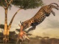 リビングがアフリカのど真ん中になる！