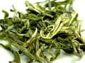 雲南の緑茶