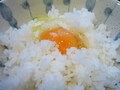 ランチにTKG～たまごん家～【日比谷】