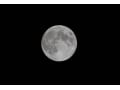 月でうさぎが「餅つき」しているのはなぜ？ 海外での月の模様の見られ方
