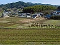 国際結婚だから気づく“日本の良さ”