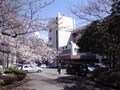 県立千葉高校