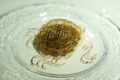 サクラ(ニューオータニ大阪・フランス料理)