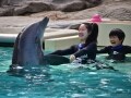 海がテーマの巨大遊園地、シーワールド・サンディエゴ