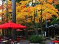 セカンドハウス候補地としての京都の魅力