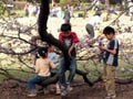 ピクニックに最適！芝生の公園ベスト5