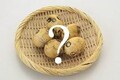 「ねこのたまご」って食べた事ありますか？