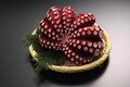 一獲千金？申込殺到のタコ箱オーナーとは？