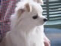 愛情が世の中を便利にする！　発明を生む魔法のふりかけ？！