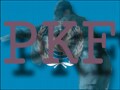 ＰＫＦ（平和維持軍）とは？