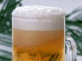 ビール飲む人も飲まない人もビールから恩恵を！　猛暑に選ぶ、今どき健康ビール