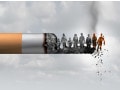 タバコの有害性・タバコが招く病気……薬局、禁煙外来も活用を