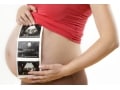 妊娠中のエコー写真・超音波写真の見方を徹底解説