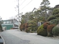 ガイドのおすすめエリアレポート（兵庫県）Vol 5　お屋敷が並ぶ街「雲雀丘花屋敷」