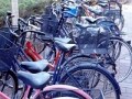 自転車専門店を大規模展開するイオンの「なぜ？」