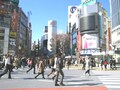 渋谷、高低差が生んだ、2つの顔を持つ繁華街