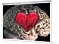 恋愛脳を蘇らせる５つの習慣！