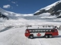 コロンビア大氷原の雪上車観光