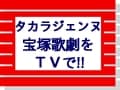 タカラヅカ【2011年10月のTV番組】